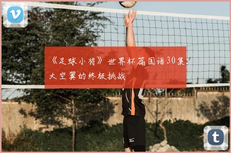 《足球小将》世界杯篇国语30集:大空翼的终极挑战