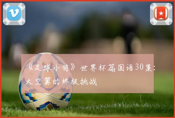《足球小将》世界杯篇国语30集:大空翼的终极挑战
