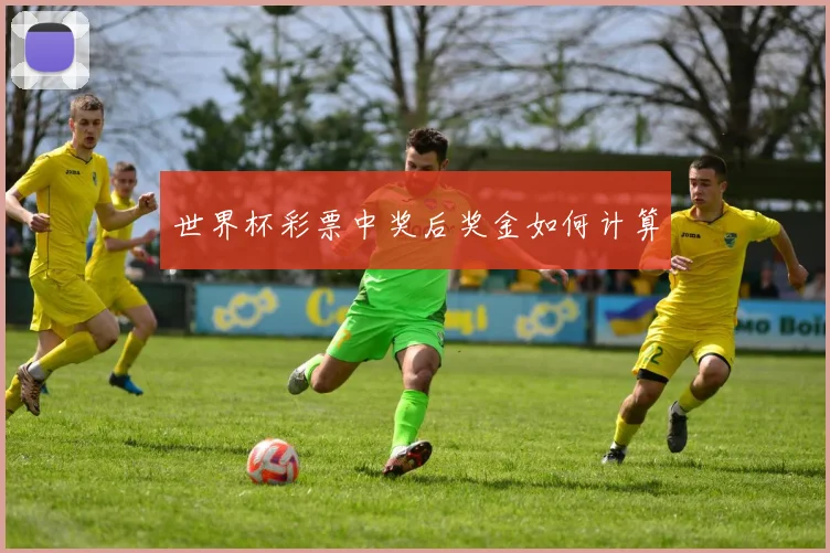 世界杯彩票中奖后奖金如何计算
