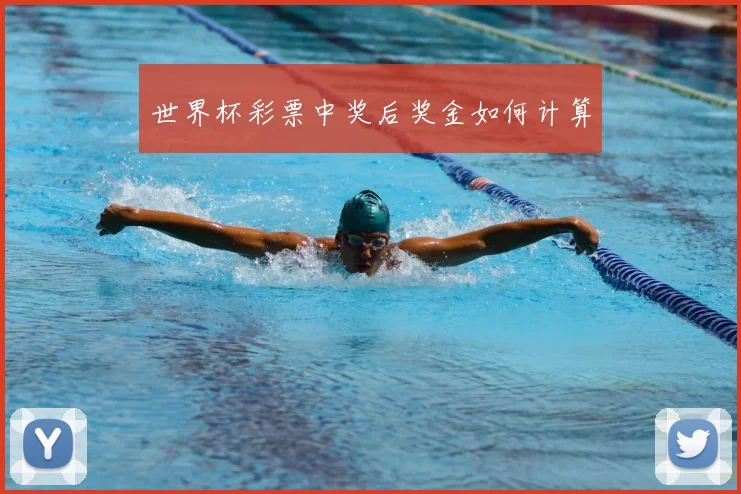 世界杯彩票中奖后奖金如何计算