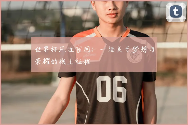 世界杯压注官网:一场关于梦想与荣耀的线上征程