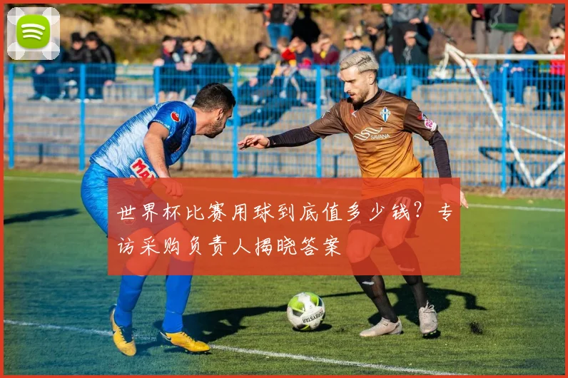 世界杯比赛用球到底值多少钱?专访采购负责人揭晓答案
