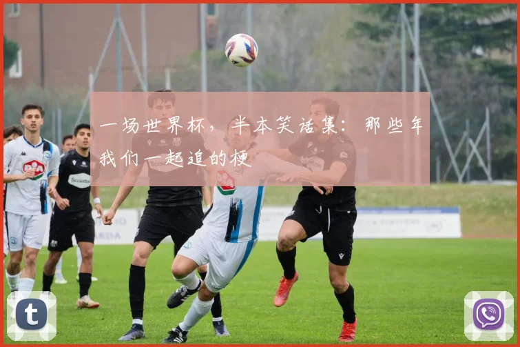 一场世界杯，半本笑话集：那些年我们一起追的梗