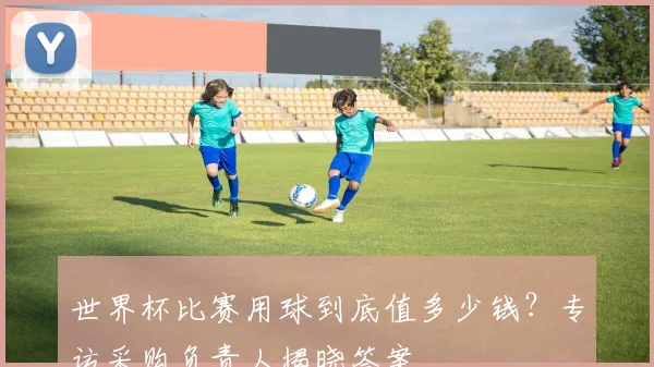 世界杯比赛用球到底值多少钱?专访采购负责人揭晓答案